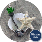 Starfish and Shell - Magnet